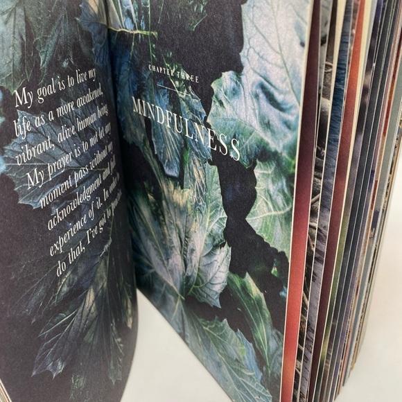 The Wisdom Of Sundays Book By Oprah Winfrey - Picture 4 of 4